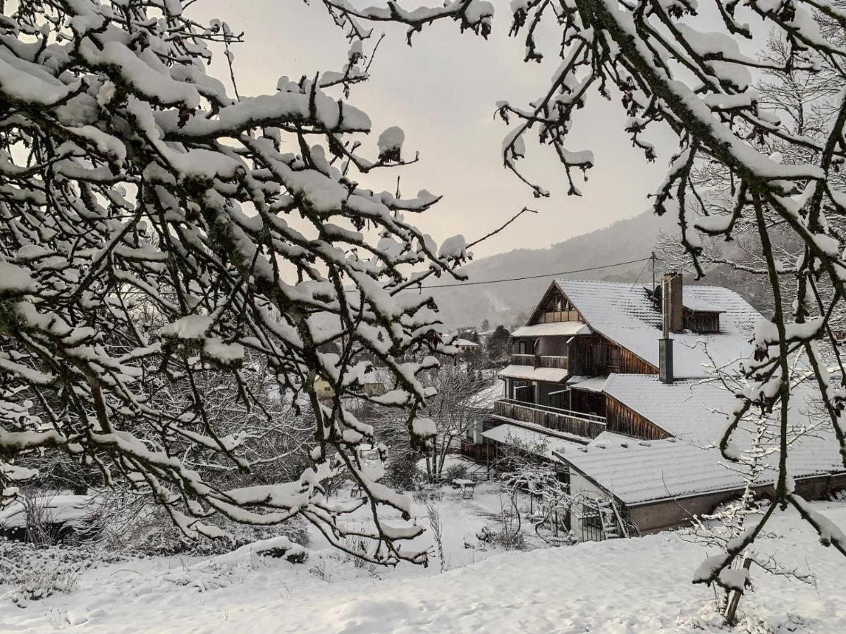 Le Manoir Des Sens - Foret De Bergheim Zewnętrze zdjęcie