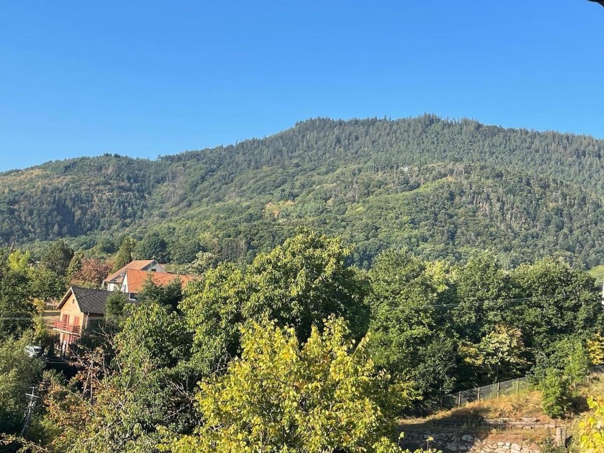 Le Manoir Des Sens - Foret De Bergheim Zewnętrze zdjęcie
