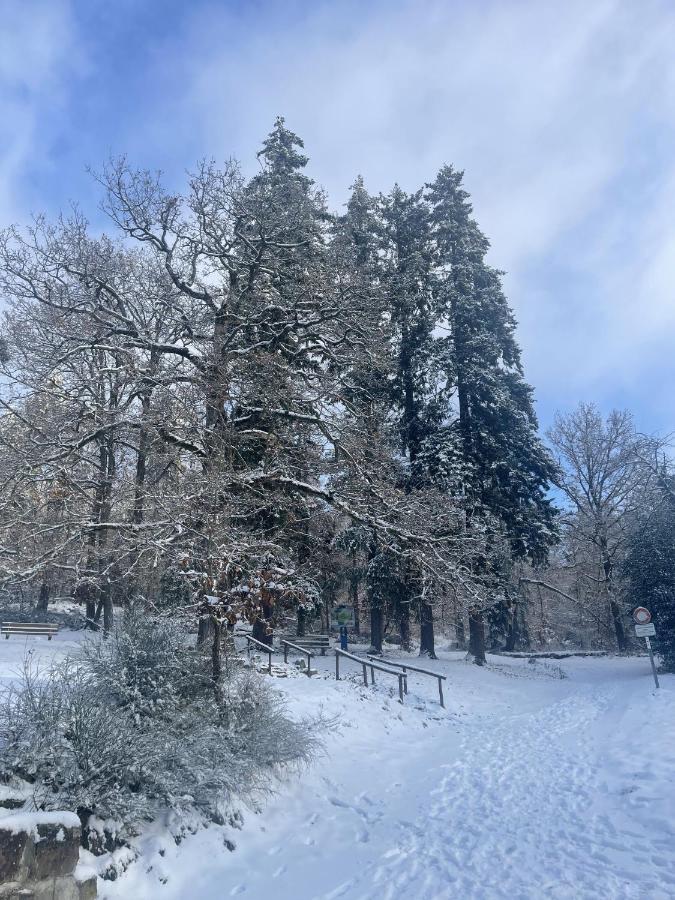 Le Manoir Des Sens - Foret De Bergheim Zewnętrze zdjęcie